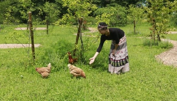 非電化工房キャンプ場